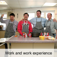 Work and work experience